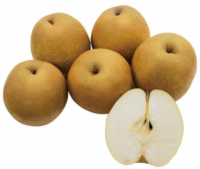 【ふるさと納税】18．若桜町産「王秋梨」