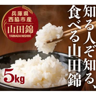 ふるさと納税 西脇市 兵庫県産【山田錦】令和7年産・ 白米 5kg (5kg×1袋)