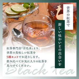 【母の日ギフト】京都の紅茶専門店より世界の美味しい紅茶５種セット ≪5月10日お届け≫ 紅茶 専門店 詰め合わせ セット ティータイム ティーバッグ 010-03-H