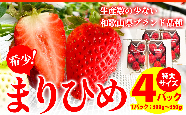 
                  希少！まりひめ　特大サイズ　約300g～350g×4パック きよ農園《2026年2月中旬-3月下旬頃出荷》 和歌山県 日高町 いちご 苺 まりひめ フルーツ 果物 スイーツ 送料無料 
                