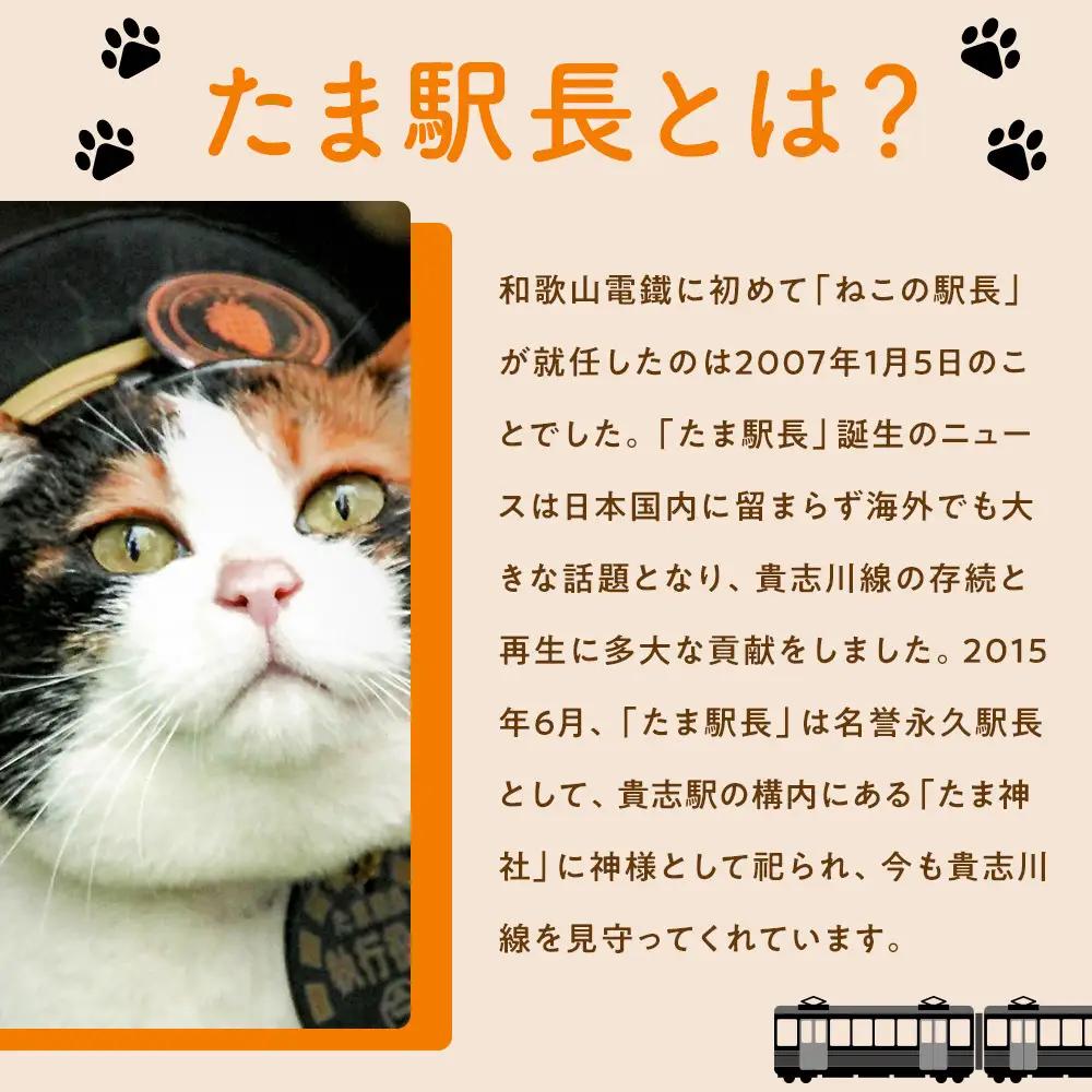 ニタマ駅長Tシャツ＜M＞・たまニタマクリアファイルセット