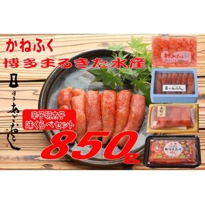 辛子明太子　味くらべセット850g(大牟田市)【配送不可地域：離島】【1523130】