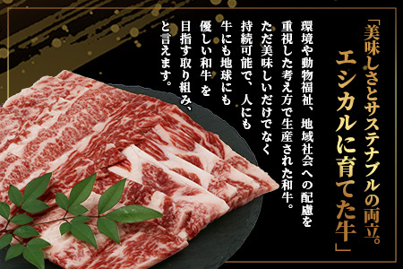  【年末発送】くまもと あか牛【あか牛の極み】 バラ 焼肉 200g×3 (計 600g) エシカル和牛 熊本 赤牛  牛肉 小分け 焼き肉 年内発送 牛肉 小分け 焼き肉 033-0514-R712