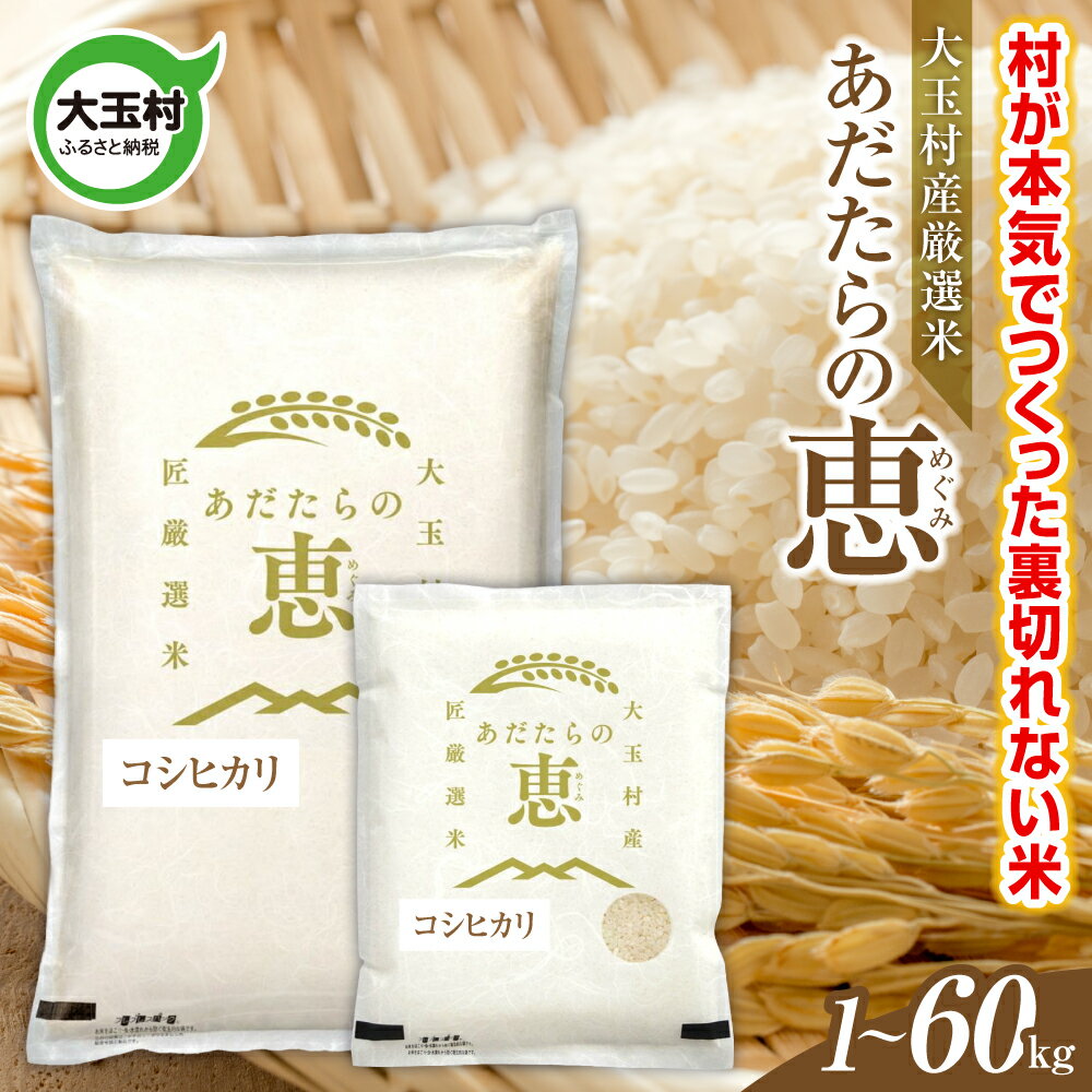 【ふるさと納税】 米 大玉村産厳選米「あだたらの恵」（品種：コシヒカリ） 1kg / 2kg / 3kg / 5kg /10kg 選べる容量 選べる回数 《 令和7年産 》｜ 福島 大玉村 お米 米作り こしひかり 令和7年 精米 白米 こめ コメ ご飯 送料無料 大玉村農業振興公社 定期便 ｜ on-ak-r7