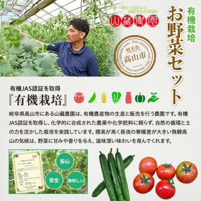 ふるさと納税 高山市 飛騨高山産 季節の有機栽培お野菜セット(お試し)4〜6品 JC021