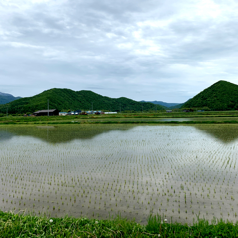 660001 北海道 浜益米[ななつぼし] 10kg（5kg×2）