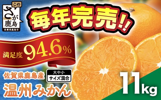 みかん 約11kg 佐賀県鹿島産 温州みかん サイズ混合  | 《先行受付11月上旬より発送予定》みかん ミカン 甘い 小玉含む フルーツ 果物 果実 くだもの 蜜柑 柑橘 国産 冬季 大容量 家庭用 贈答 お取り寄せ 佐賀県 鹿島市 B-99