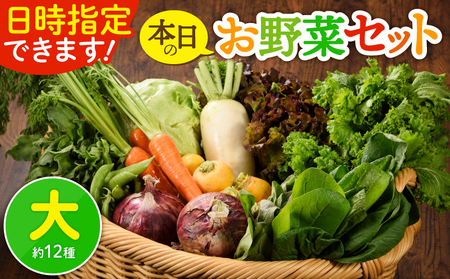 日時指定可能！旬のお野菜セット（サイズ大）