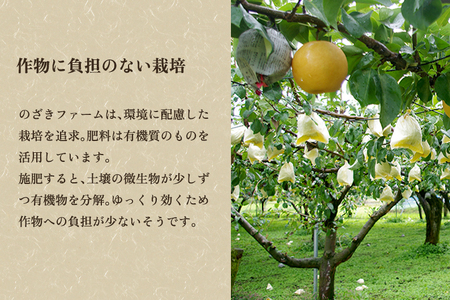 新潟県加茂市産 和梨 新興5kg（7～14玉）〈10月下旬～順次出荷〉 なし ナシ こうすい 果物 フルーツ 秋の味覚 加茂市 のざきファーム