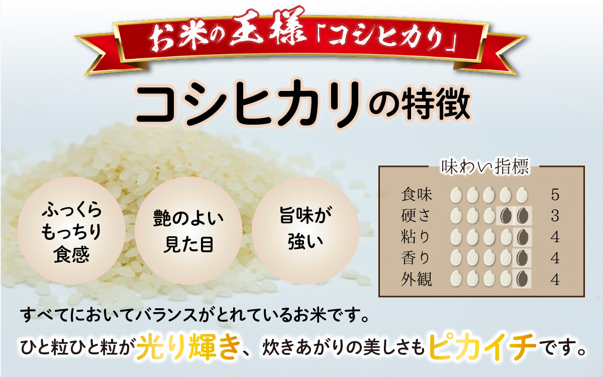 【先行予約】【令和6年産 新米】福井県大野市産 JGAP認証 コシヒカリ「あかね」（白米）5kg×2袋　計10kg【11月初旬より順次発送】