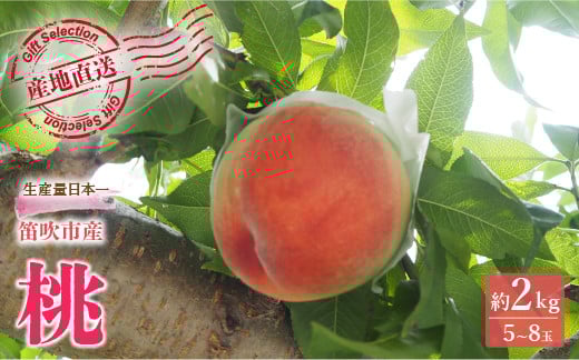 
            厳選！山梨県笛吹市産桃 約2kg（5～8玉） 156-003-oya
          