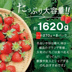 あまおう いちご 1,620g ( 約 270g × 6パック ) 【先行予約・2024年3月初旬より順次発送】 糸島市 / 株式会社HSP-テクノ [AZL002] グランデ 等級 福岡県 いちご 