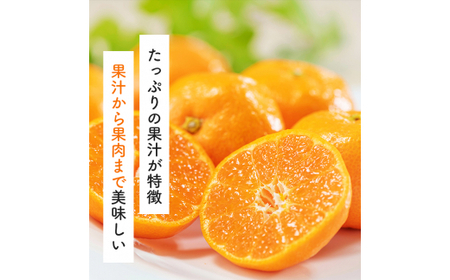 【2026年9月中旬～10月上旬頃に順次発送予定】有田育ちの完熟有田みかん 家庭用 サイズ混合(2S～2L)　約10.2kg(10kg+200g)【ard197-09】