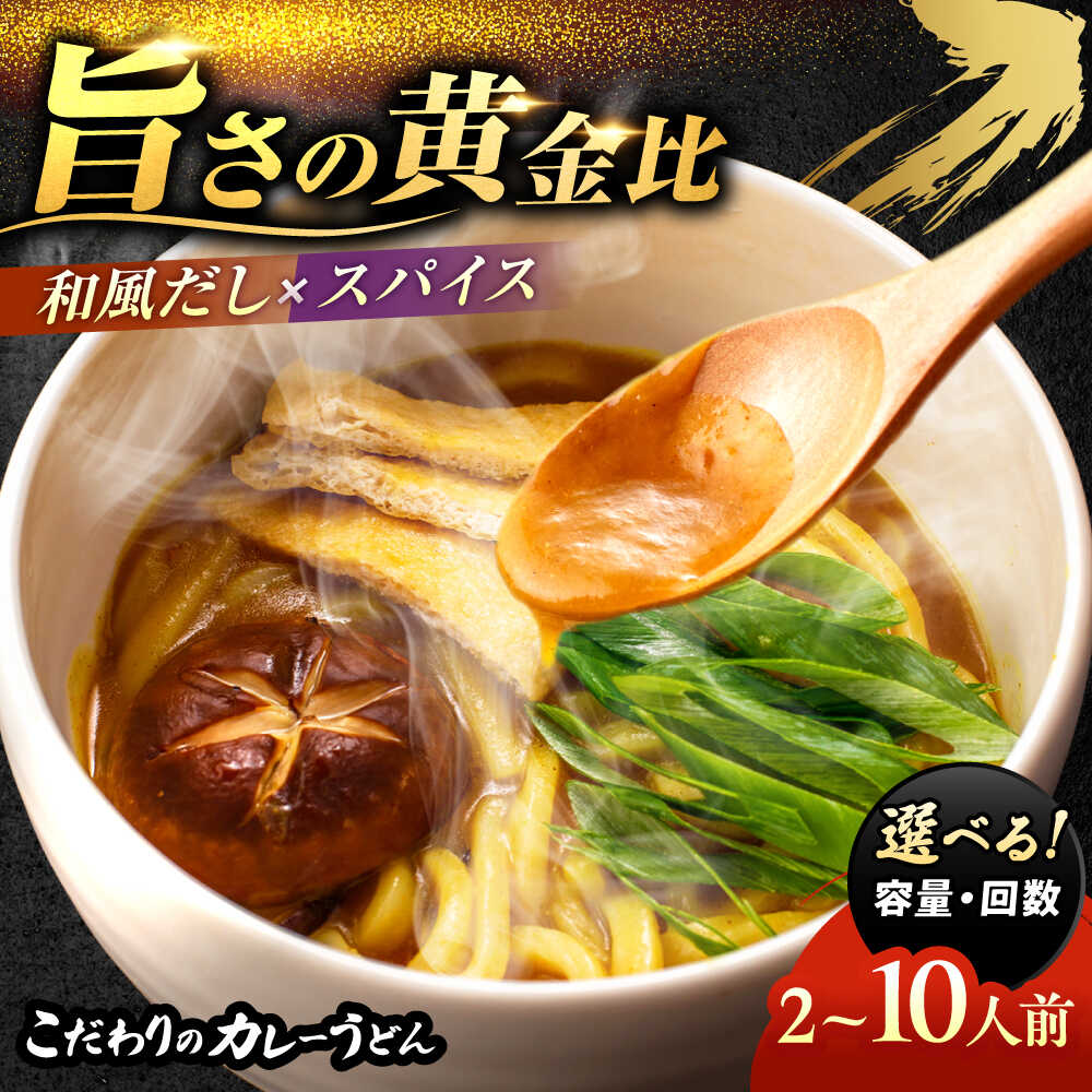【ふるさと納税】 ＼選べる内容量・回数／ カレーうどん 2人前×5 お取り寄せ うどん 老舗 愛西市 / アロマ・フーヅ [AEAP002] うどん お手軽 和風だし