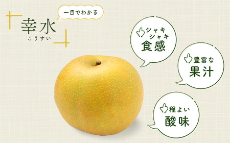 梨【先行予約】幸水 約3kg 6玉～12玉｜梨 梨 梨 梨 梨