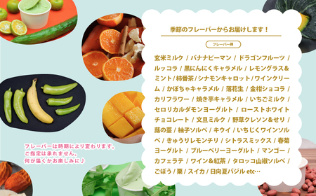 オーガニックタウン綾町から届く、季節のクラフトジェラート〈12個セット〉