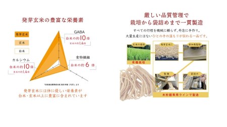 【ギフト用】グルテンフリーで健康に！ 発芽玄米めんギフトセット