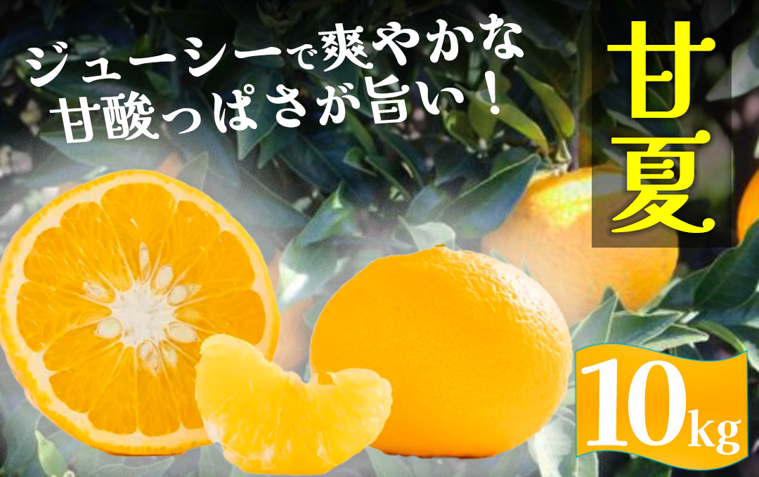 
            【先行予約＿2026年出荷分】湯の花　初夏の香り甘夏 10kg箱 【 柑橘 甘夏 甘夏セット 果物 フルーツ フルーツセット ふるさと納税 伊豆 南伊豆 】<BC-16>
          