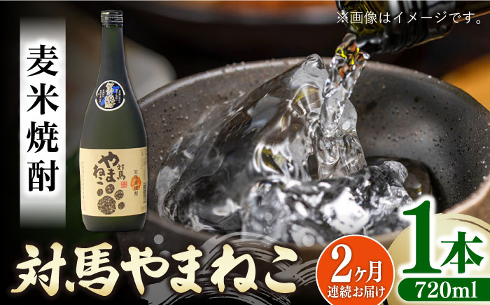 【全2回定期便】麦米焼酎 対馬やまねこ 25度 720ml 2本セット《対馬市》【株式会社サイキ】対馬 酒 贈り物 米焼酎 プレゼント 焼酎 [WAX050]