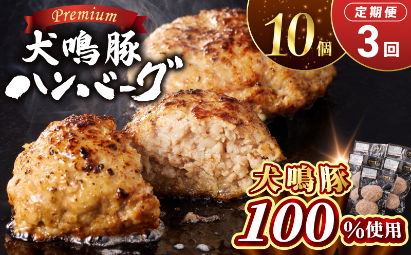 【泉佐野ブランド豚】犬鳴豚の手作りプレミアムハンバーグ（10個入り）×3回【国産 豚肉 ぶたにく 定期便 犬鳴ポーク 普段使い】 099Z552
