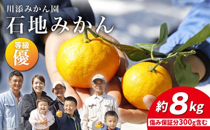 
            みかん 【12月上旬より配送】 石地みかん/優品 約8kg（傷み保証分300g含む）  みかん ミカン 西海 みかん 西海市 みかん 贈答 ギフト  ＜川添みかん園＞ [CCT006]
          
