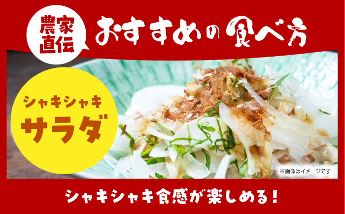 【先行予約】 訳あり 新玉ねぎ 10kg（小玉）【えぐちファーム】 不揃い たまねぎ [HDE002]