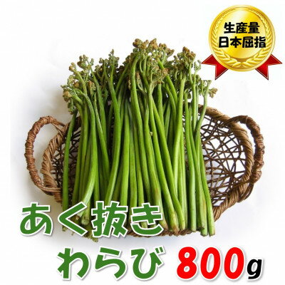 【ふるさと納税】【数量限定】採れたて山菜　あく抜きわらび　200g×4束【配送不可地域：離島】【1738926】