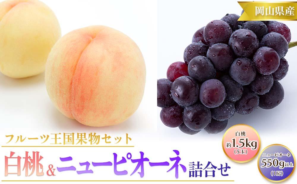 桃 ぶどう 2026年  白桃 5玉 合計約1.5kg （1玉 約300g） ニュー ピオーネ 1房 550g もも 葡萄 詰合せ 岡山 国産 フルーツ 果物 ギフト 桃茂実苑