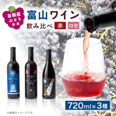 ふるさと納税 富山県 富山ワイン3本セット