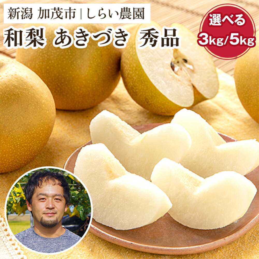 【ふるさと納税】【2025年先行予約】しらい農園のあきづき 秀品 選べる「3kg」or「5kg」《9月下旬から順次発送》 果実 フルーツ 贈答 ギフト 甘くてジューシーな梨 なし 秋月 加茂市 しらい農園
