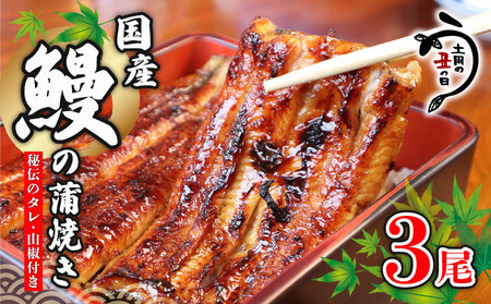 国産鰻の蒲焼き 3尾 うなぎ ウナギ 鰻 うなぎ うなぎ うなぎ 