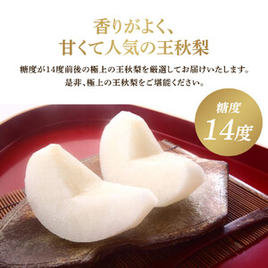 【先行予約】王秋梨 5kg前後（5～16玉前後）※2026年10月下旬～12月上旬頃に順次発送予定 【梨 なし 果物 フルーツ くだもの 鳥取県産 北栄町 おすすめ 人気】