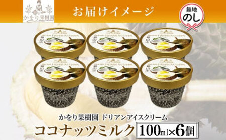 【無地熨斗】 ドリアン ココナッツ アイスクリーム 100ml 6個 ココナッツミルク