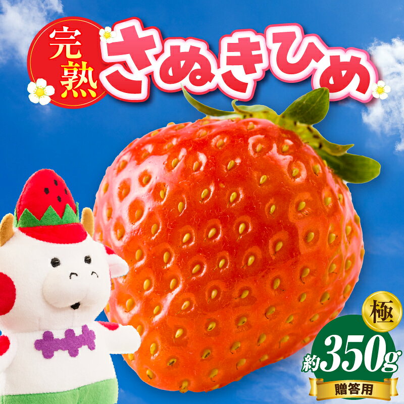 【ふるさと納税】【先行予約】贈答用　完熟さぬき姫　極み　約350g 完熟フルーツ おすすめ 人気 贈答 贈り物 化粧箱 いちご 果物 フルーツ デザート 果実 さぬきひめ 旬の果物 旬 完熟 甘い いちごジャム ストロベリー 香川県 三木町 送料無料