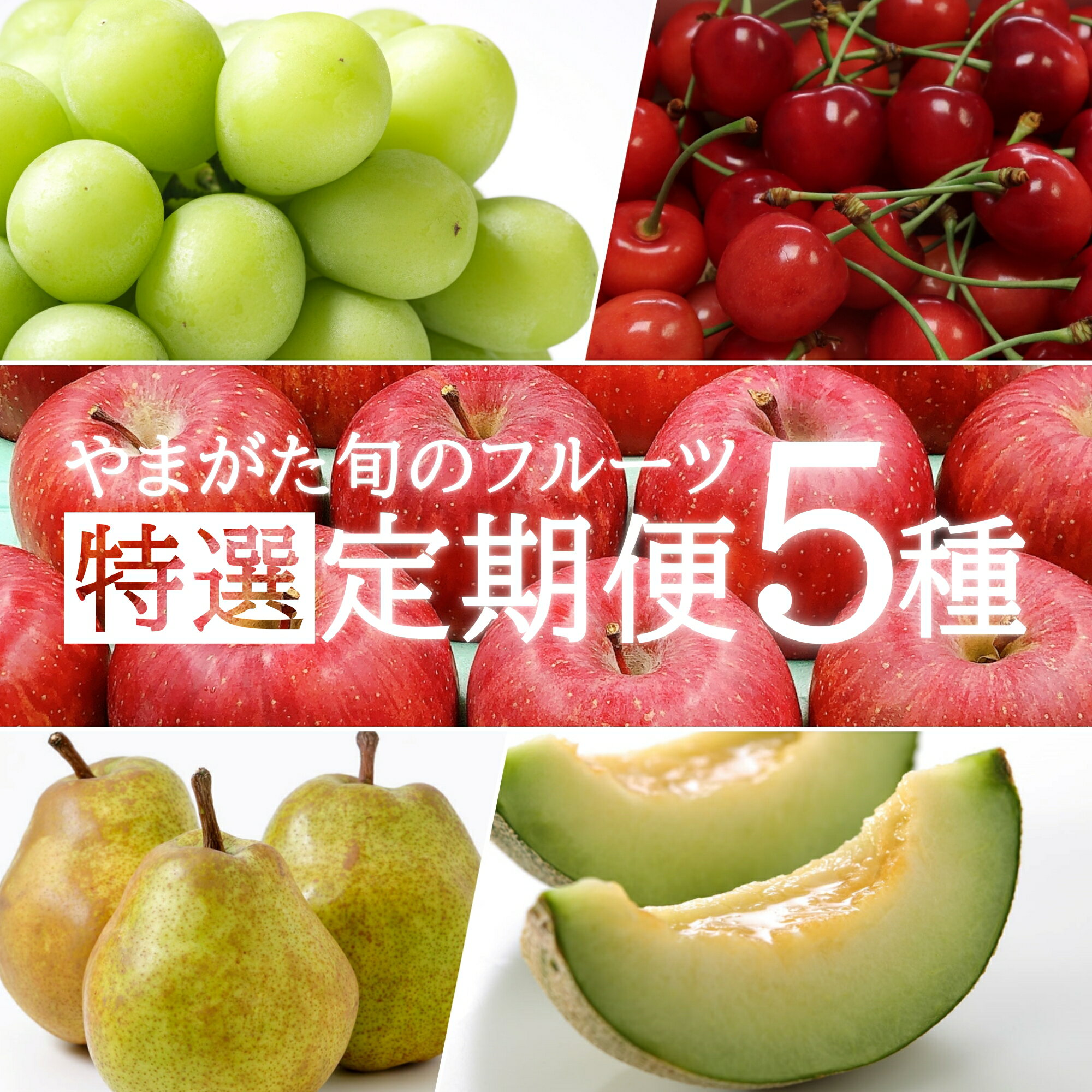 【ふるさと納税】【2025年6月〜12月発送分先行受付】【定期便5回】山形の果物特選5選(さくらんぼ、メロン、シャインマスカット、ラ・フランス、サンふじりんご)_H199(R7)