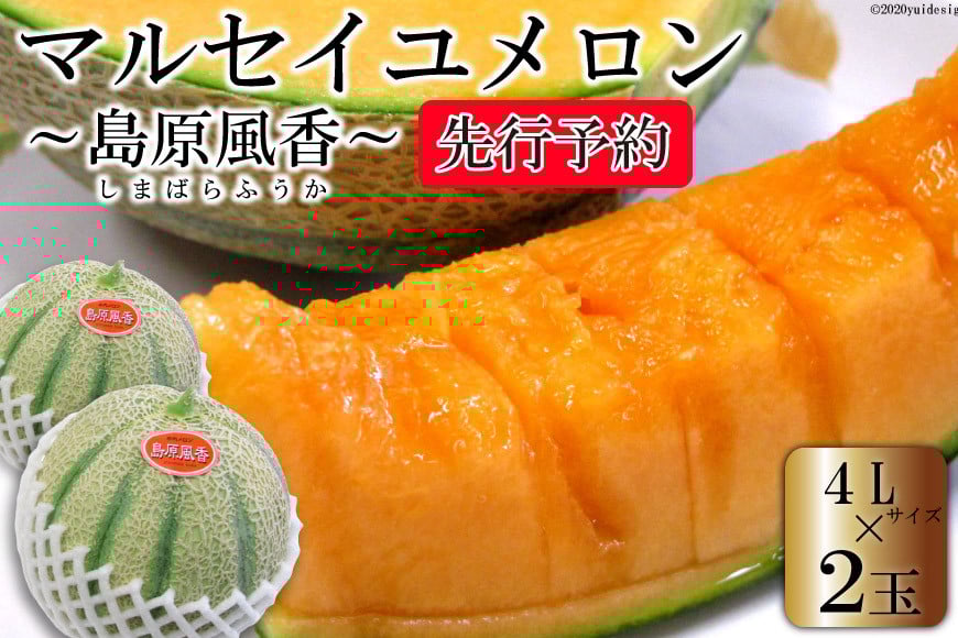 
                  ペルピンズさん絶賛！【令和8年度出荷分】マルセイユメロン～島原風香～（4L×2玉） [ メロン 赤肉 果物 くだもの フルーツ 産地直送 農事組合法人 『舞岳の里』生産組合 長崎県 島原市 CF108] 
                