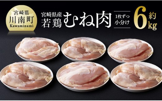 宮崎県産若鶏むね肉 小分けで約6kg 肉 鶏 鶏肉 [D07808]
