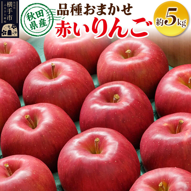 りんご 品種おまかせ 季節の赤いりんご 約5kg（早生ふじ(やたか)、シナノスイート、早生ふじ(こまちふじ)、サンふじ） [秋田県 横手市 林檎 リンゴ 果物 フルーツ 【りんご】特集]