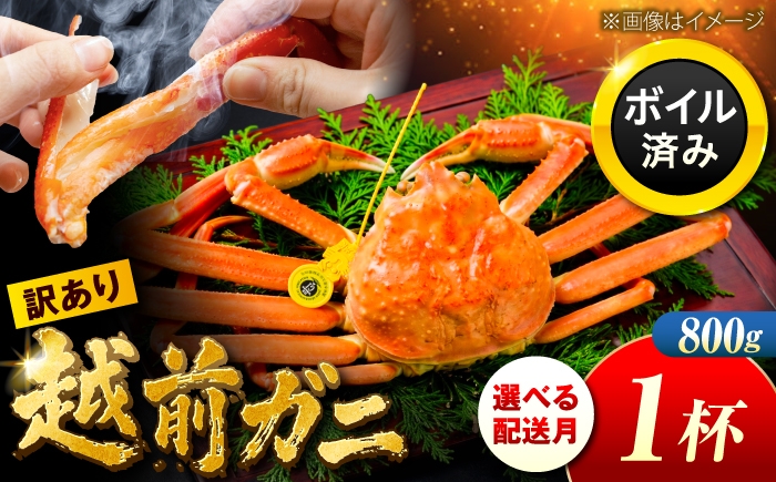 
                  【選べる配送月】【先行予約/11月7日より順次配送】訳アリ 脚折れあり 越前がに 800ｇ×1ハイ 小浜市 / まるほ商店【配送不可地域：北海道・沖縄・離島】 [BFCS068]
                