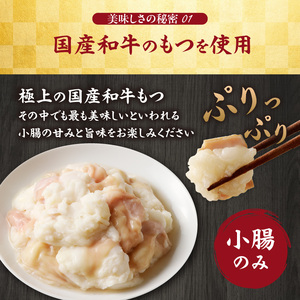 国産和牛もつ鍋（塩味）2～3人前 ／ もつ鍋【B071】