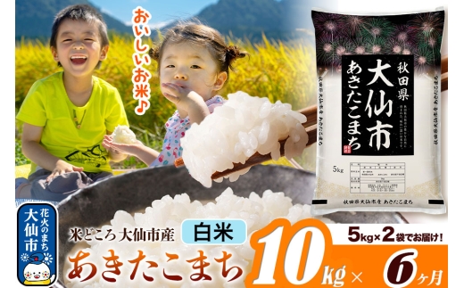 米《定期便6ヶ月》あきたこまち【白米】 米どころ秋田県大仙市産 令和7年産 精米 10kg（5kg×2袋） [米 お米 こめ 白米 精米 あきたこまち ブランド米 通算23回 特A 小分け ご飯 ごはん 米どころ 秋田県産 大仙市]