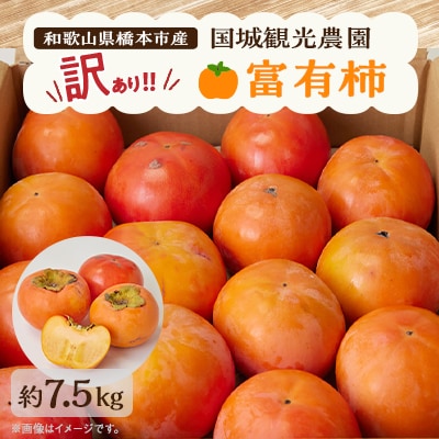 柿　国城観光農園の富有柿(家庭用・訳あり)約7.5kg