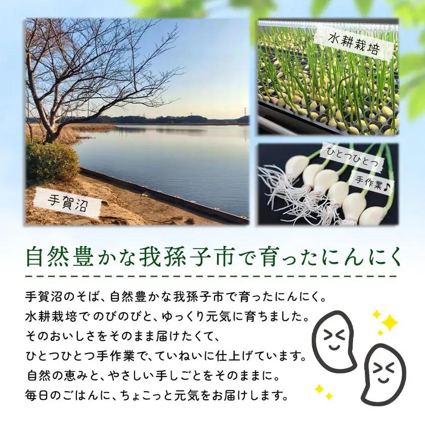にんにくスプラウト 10袋 株式会社ANELA GROW