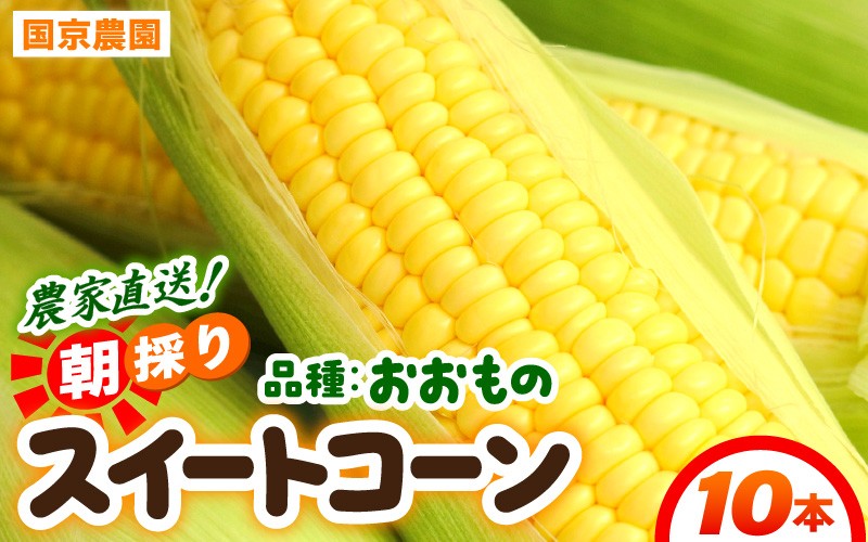 
                  【先行予約】朝採り スイートコーン 黄色 計10本 おおもの ／ ハウス栽培 低農薬 有機肥料 フルーツ並みの甘さ 甘い とうもろこし 野菜 あわら ※2025年10月上旬より順次発送 [aw067-a003]
                