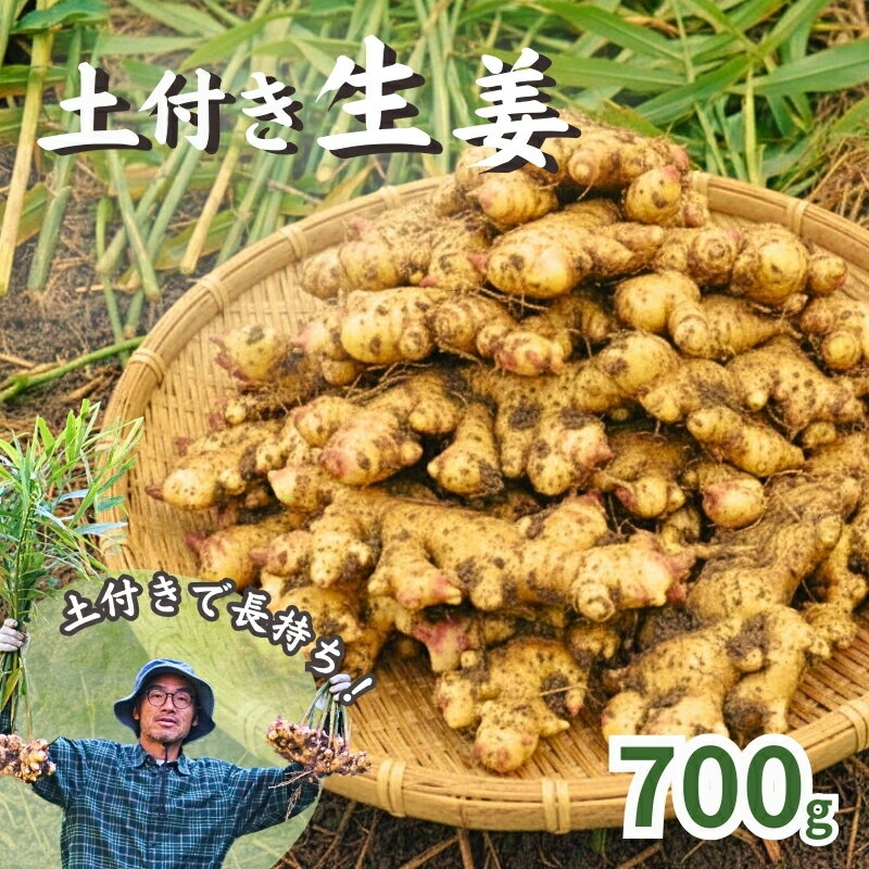 【ふるさと納税】 こだわり 農法 生姜 土付き 700g 高知県 黒潮町 産 自然 新鮮 しょうが 野菜 やさい 調味料 やくみ 薬味 ジンジャーエール ふるさと納税 人気 ふるさと納税生姜 高知県 黒潮町