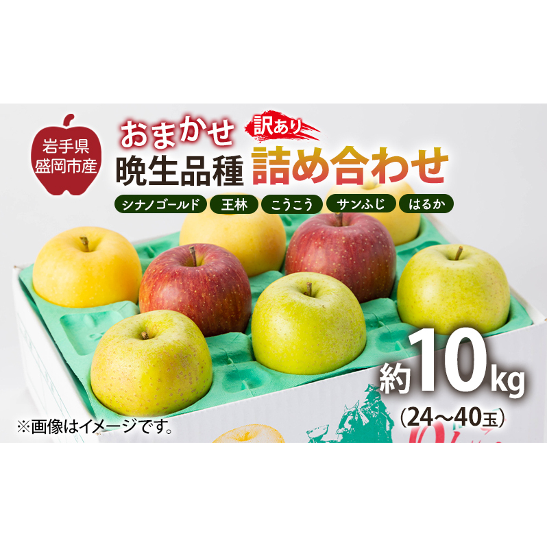 盛岡から「農で人をつなぐ」藤与果樹園：《訳アリ》おまかせ晩生品種詰め合わせ（シナノゴールド、王林、こうこう、サンふじ、はるか、金星、ぐんま名月、シナノスイート等から２種以上）10kg 訳アリ 不揃い 傷 規格外 フルーツ 果物 旬のフルーツ 旬の果物 旬 冬 岩手 盛岡 産地直送 玉数指定不可 詰め合わせ 岩手 盛岡