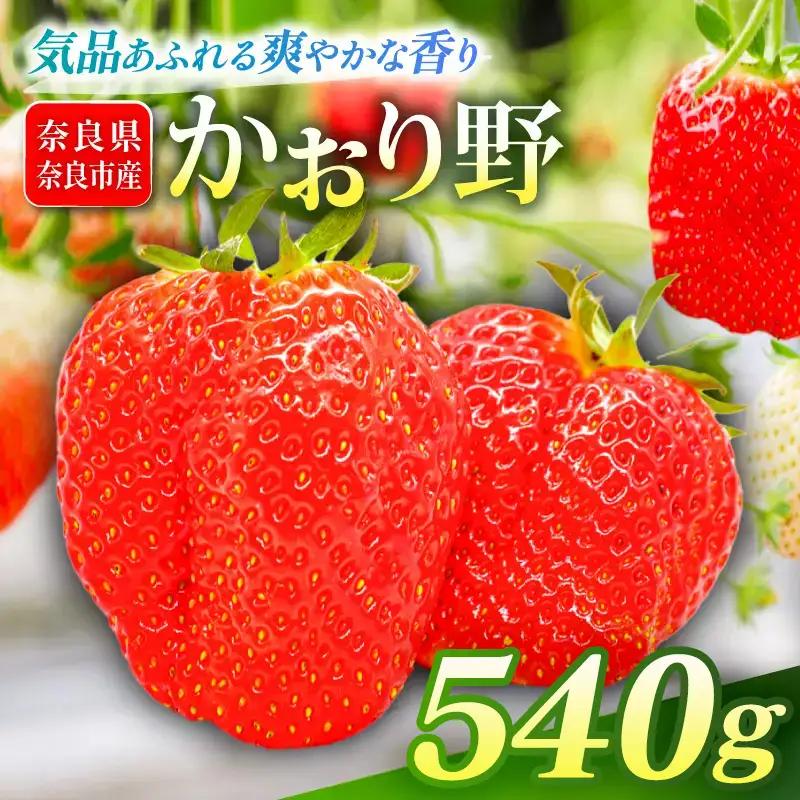 いちご かおり野 約270g×2P【R9年1月～発送】いちご drm005