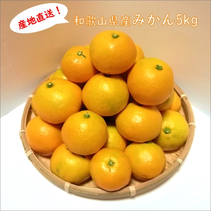 
                  みかんの産地和歌山日高地方からお届け!みかん 5Kg《先行受付》2026年11月頃より順次発送予定
                