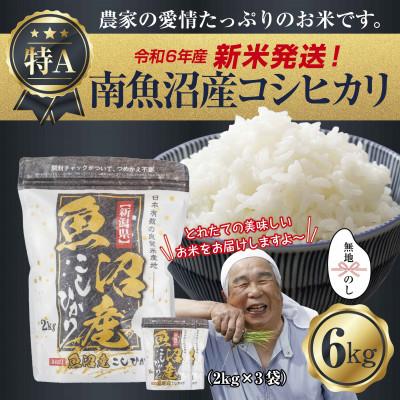 ふるさと納税 南魚沼市 【無地のし】令和7年産 南魚沼産 コシヒカリ 6kg (美味しいお米の炊き方ガイド付き)
