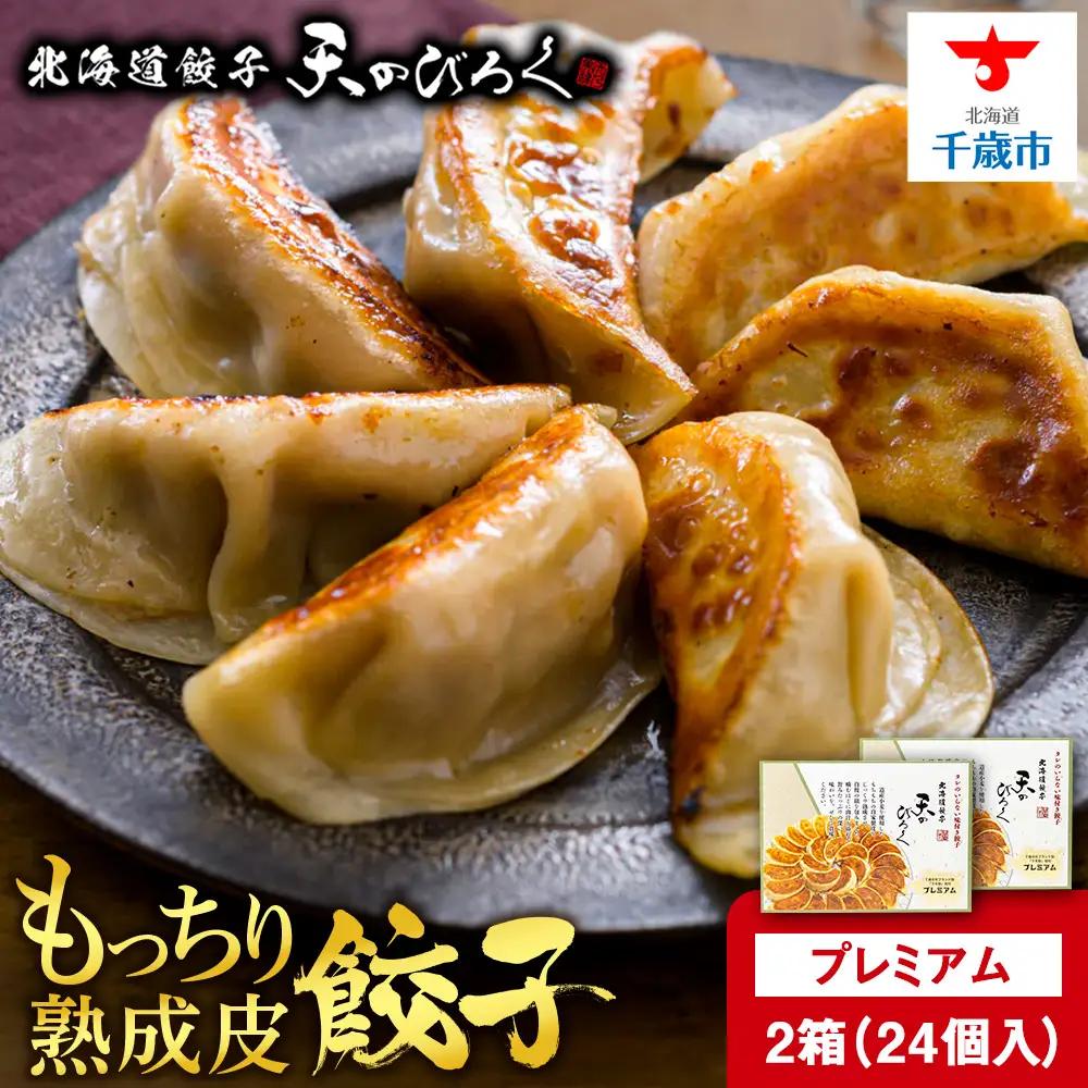 北海道餃子天のびろく プレミアム12粒入 2箱